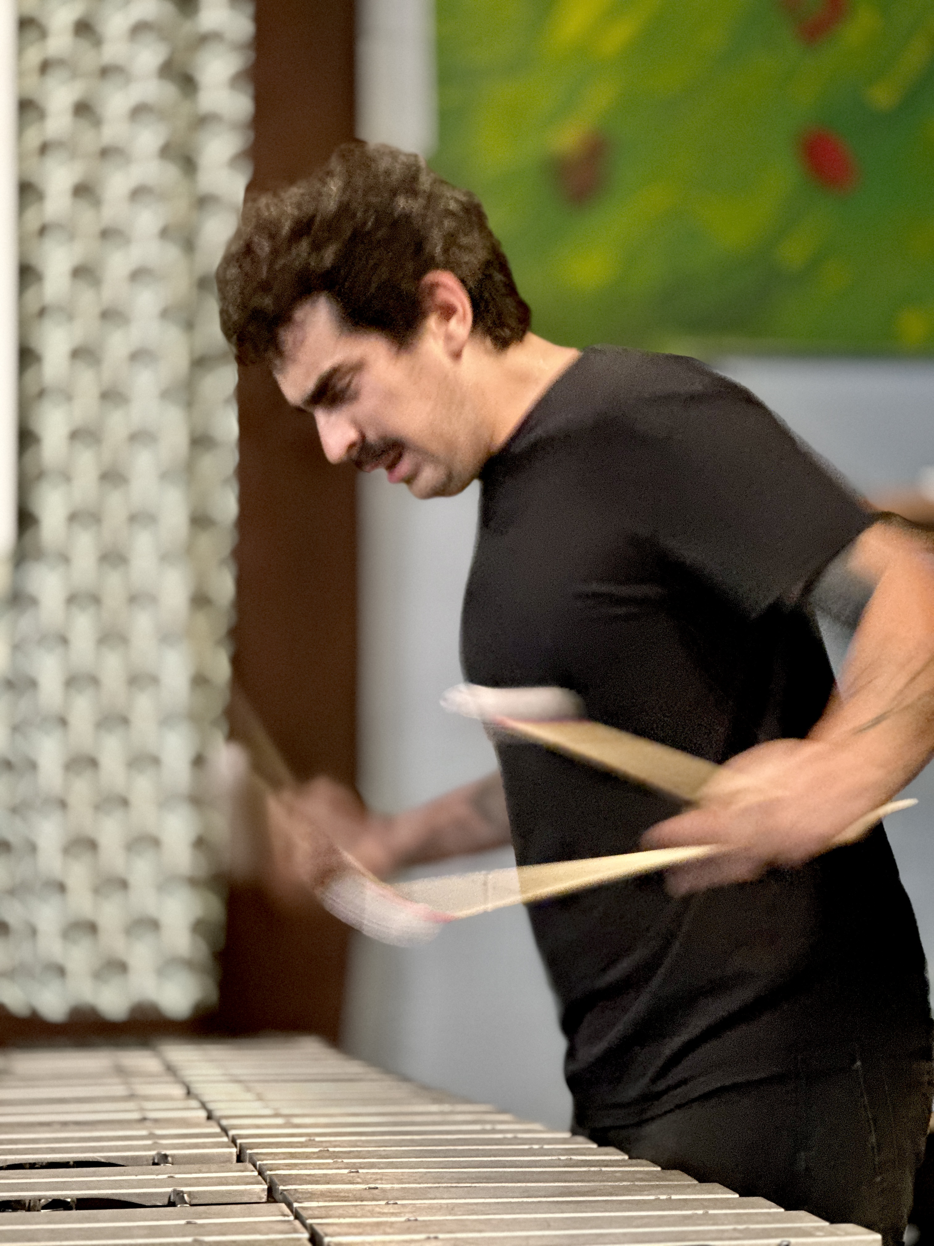 BarkCulture2025-08-12SugarMapleMilwaukeeWI (5).JPG